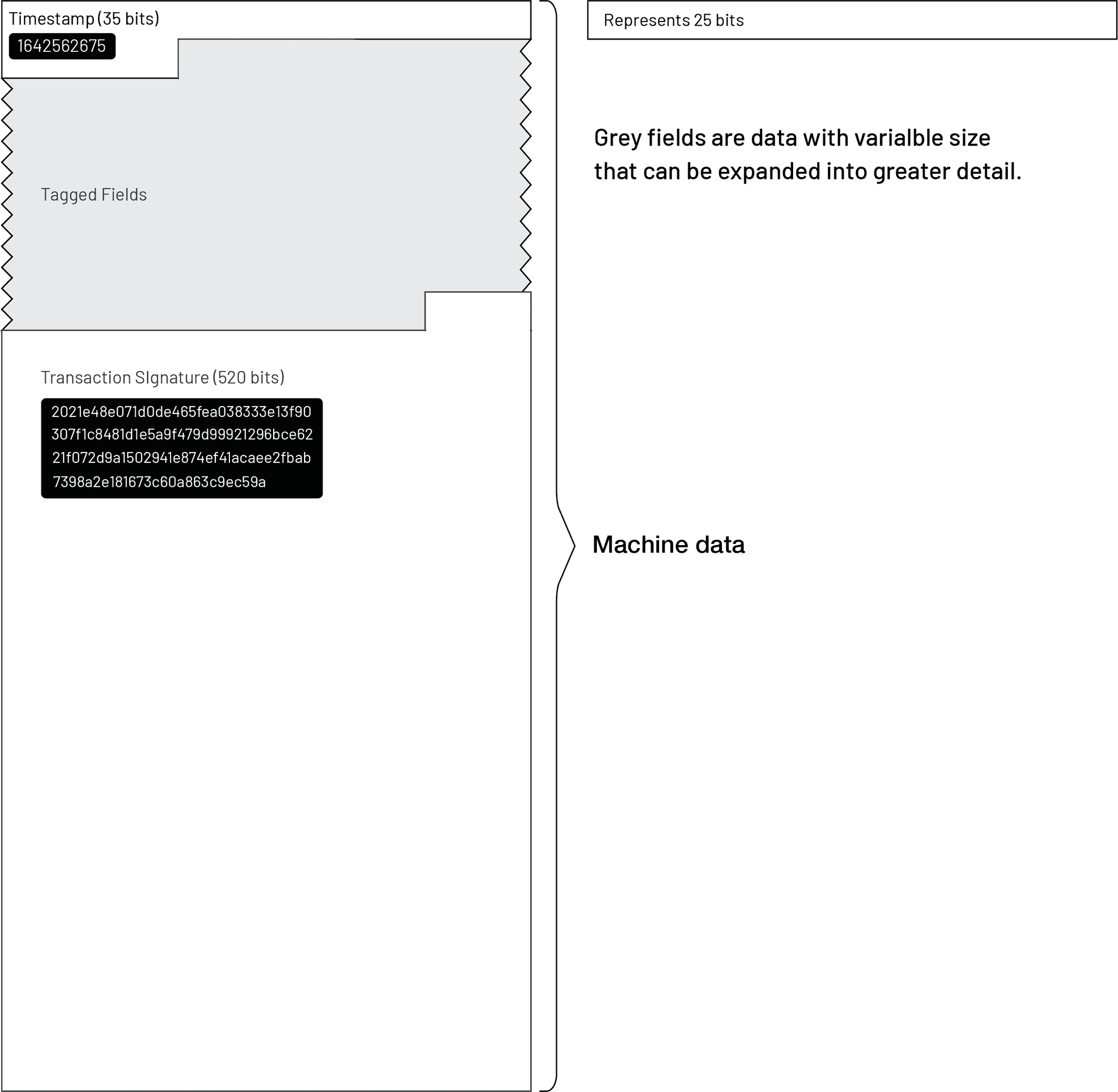 Machine Data of BOLT 11 Invoice