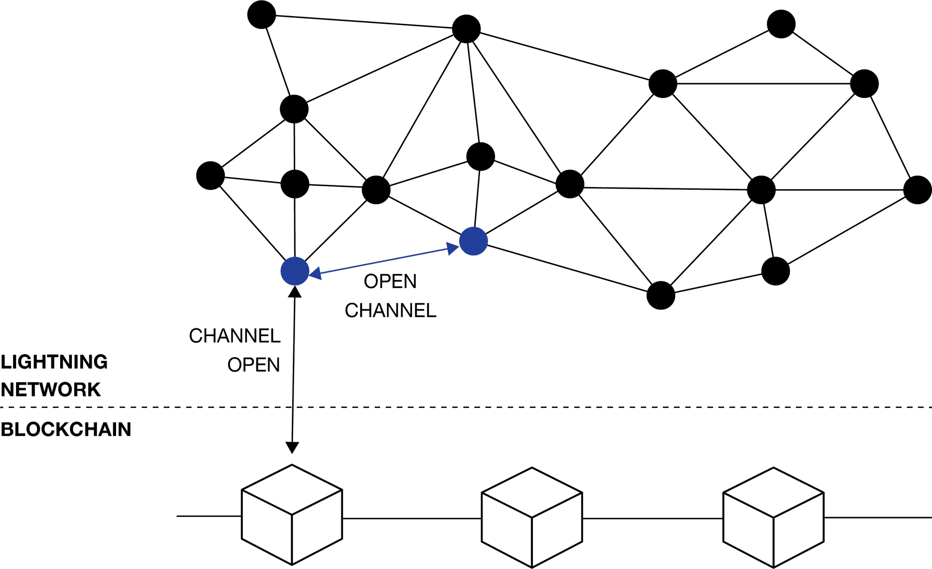 Nodes connected via payment channels in the lightning network